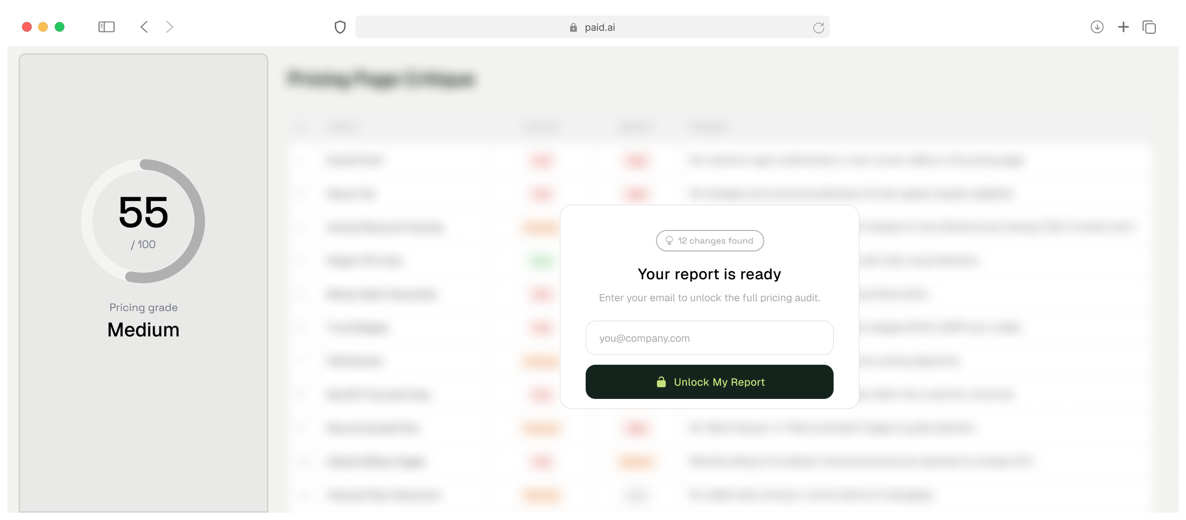Pricing audit report